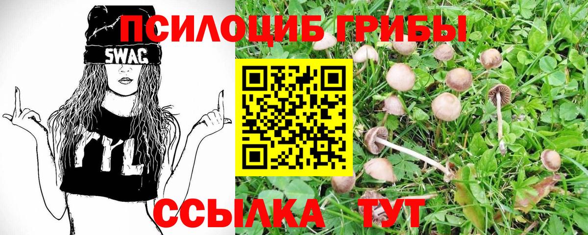 Великий Устюг  Галлюциногенные грибы Psilocybe  Вход с VPN 